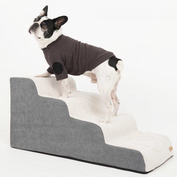 페오펫몰,레드퍼피 데코 펫스텝