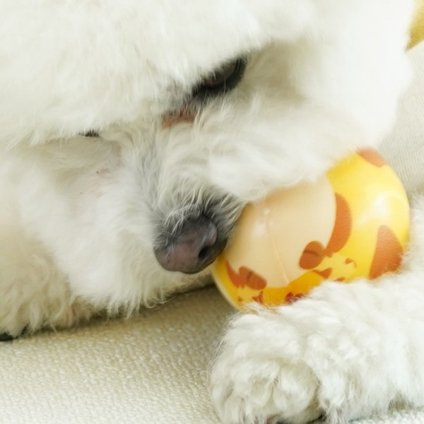 페오펫몰,레드퍼피 애니멀 6종플레이공 장난감 노즈워크 삑삑이 애견훈련 공