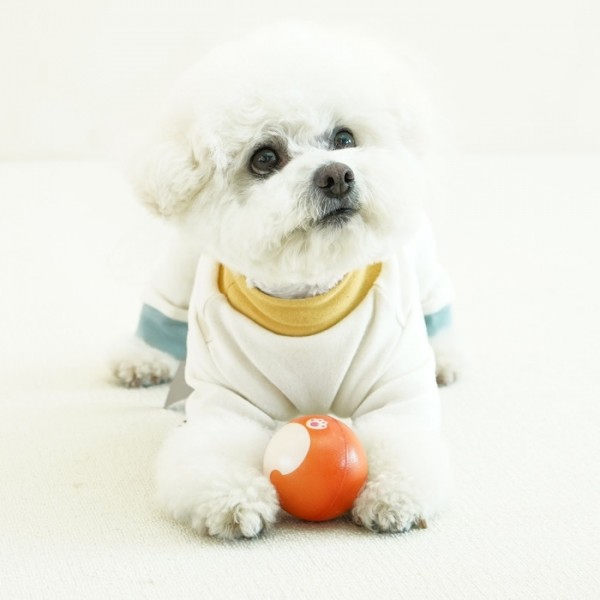 페오펫몰,레드퍼피 애니멀 6종플레이공 장난감 노즈워크 삑삑이 애견훈련 공