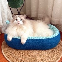 레드퍼피 네코야 파도 스크래쳐 고양이하우스 고양이스크래쳐 손톱관리 스크래쳐 대형스크래쳐 고양이용품