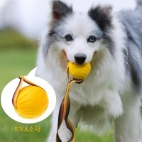 레드퍼피 트롤볼장난감 노즈워크 삑삑이 애견훈련 공