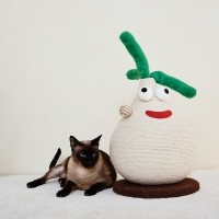 레드퍼피 네코야 양파 스크래쳐 고양이하우스 고양이스크래쳐 손톱관리 스크래쳐 대형스크래쳐 고양이용품