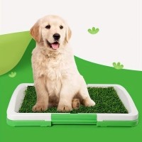 레드퍼피 잔디 배변판 강아지 오줌 쉬 위생 청소 배변패드