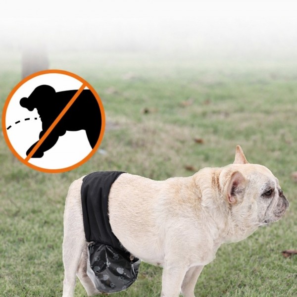 페오펫몰,레드퍼피 니보니 매너밸트