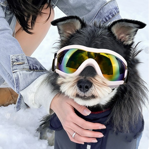 페오펫몰,레드퍼피 스포키 애견전용 고글 강아지고글 고글 라이딩 라이더고글 오토바이 패션