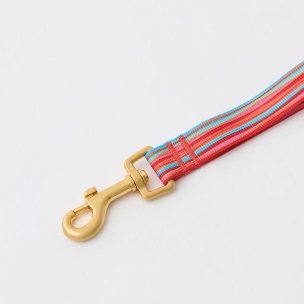 페오펫몰,[아이캔더] 젠틀 리쉬_롤리팝