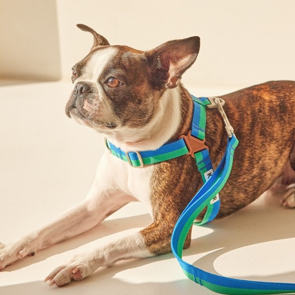 페오펫몰,[아이캔더] 노-풀 하네스_포레스트