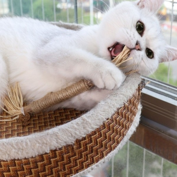 페오펫몰,더보양 마따따비 스트레스 치석제거 위장건강 고양이 수제 장난감 보양묘술 2개