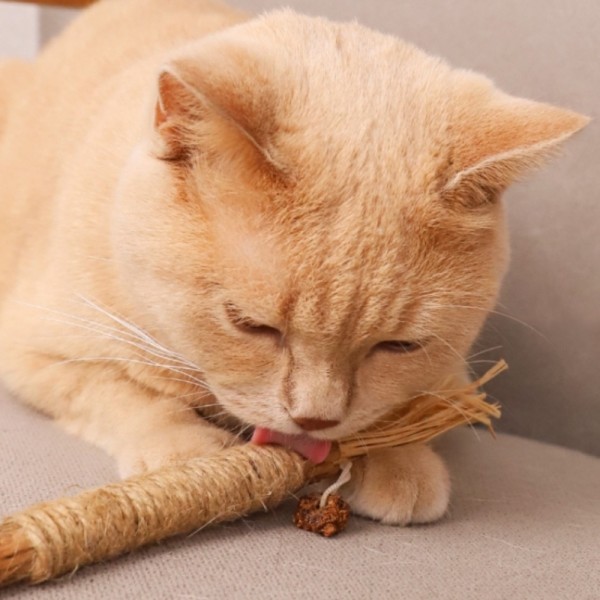 페오펫몰,더보양 마따따비 스트레스 치석제거 위장건강 고양이 수제 장난감 보양묘술 2개