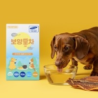 더보양 강아지 고양이 보약 영양음료 보양황차 40ml x 7개