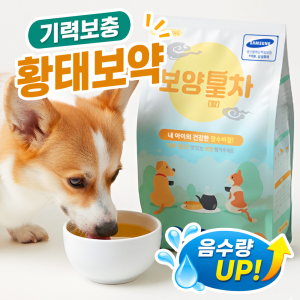 [댕캉스특가]더보양 강아지 고양이 마시는 황태 보약 영양음료 보양황차 40ml x 30개