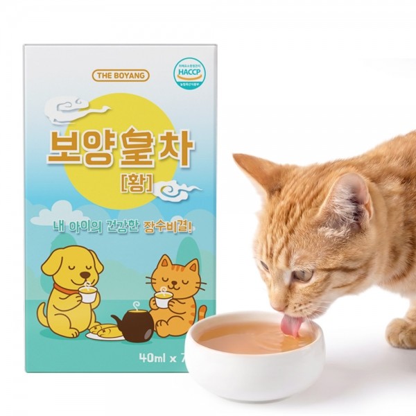 페오펫몰,[댕캉스특가]더보양 강아지 고양이 보약 영양음료 보양황차 40ml x 21개