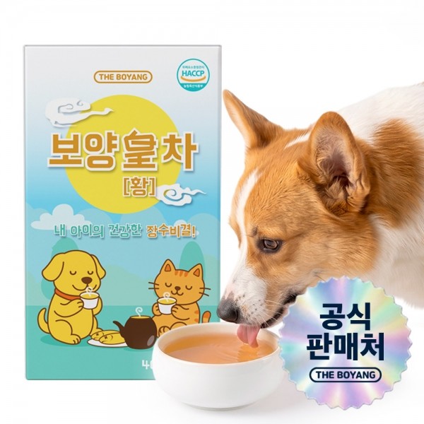 더보양 강아지 고양이 보약 영양음료 보양황차 40ml x 7개