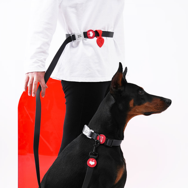 페오펫몰,[퍼피갤러리] 하트 푸푸백 홀더