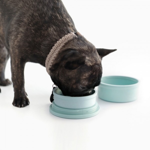 페오펫몰,카인드테일 포터보울 - 휴대용식기 [최저가]