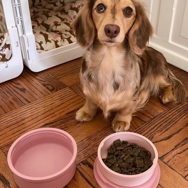 페오펫몰,카인드테일 포터보울 - 휴대용식기 [최저가]