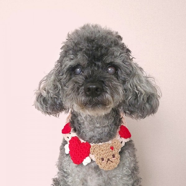 페오펫몰,어거스트제이 엔젤하트 케이프 2종 강아지 고양이 뜨개 목걸이