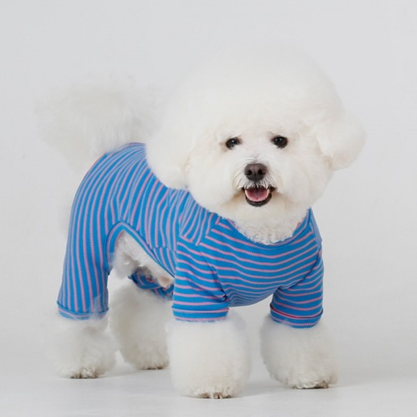 페오펫몰,롤링 스트라이프 올인원 블루
