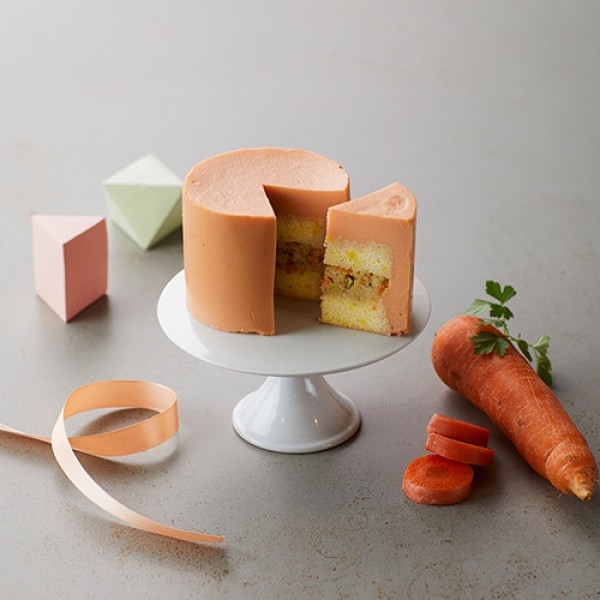 페오펫몰,아이스크림 당근 케이크 300g [최저가]