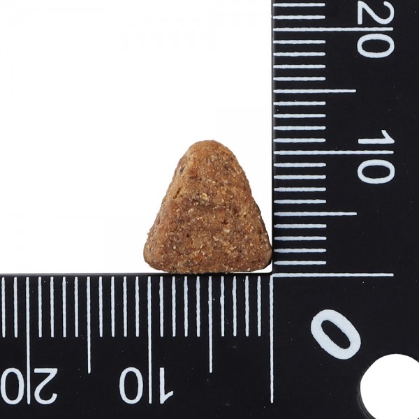 [임박할인 26.10.26] 한정수량 닥터클라우더 독일 프리미엄 강아지 사료 어덜트 생선&쌀 4kg