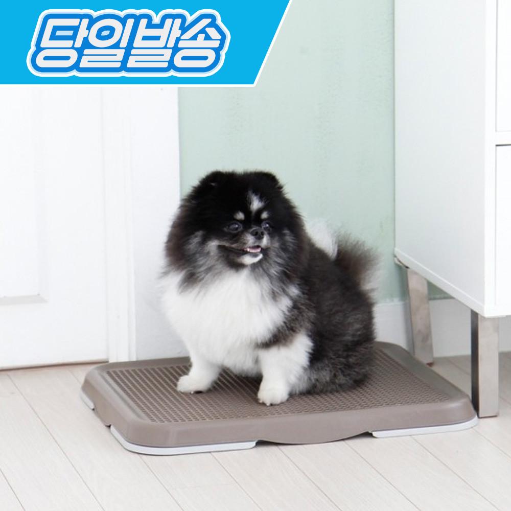 페오펫몰,[펫토리아] 한판뚝딱 실속형 강아지배변판