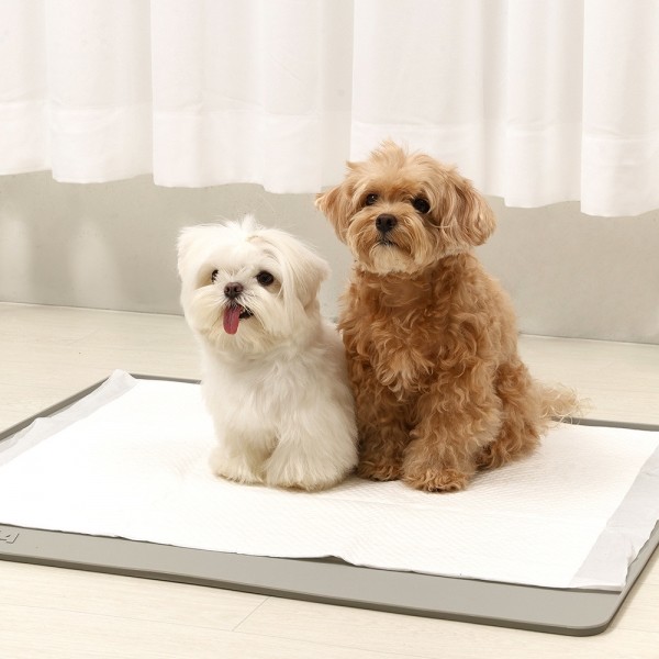 페오펫몰, 펫토리아 안밀려 논슬립 강아지 실리콘 배변매트