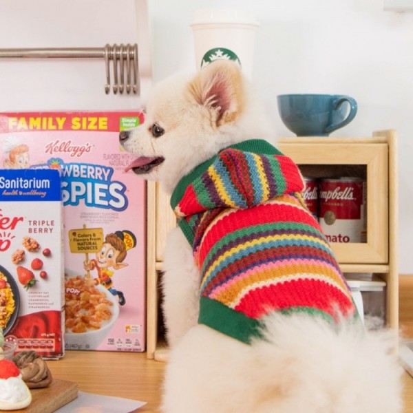 페오펫몰,퍼피아 강아지 옷 레논 후드