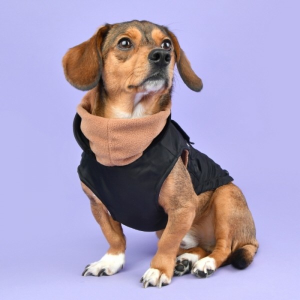 페오펫몰,퍼피아 강아지 생활 방수 블랑킷 점퍼