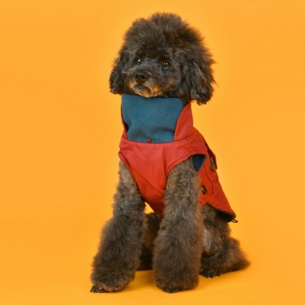 페오펫몰,퍼피아 강아지 생활 방수 블랑킷 점퍼