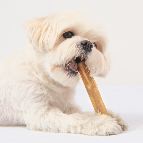 페오펫몰,퍼피아 자연에서 선물한 친환경 안심 놀이 장난감 퍼피트리 커피나무 커피츄