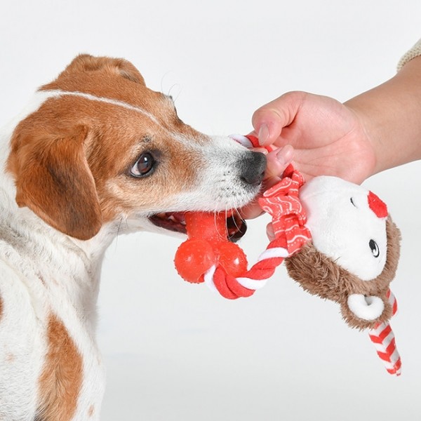 페오펫몰,[댕보양특가]올치 루돌프 삑삑 터그 노즈워크 토이