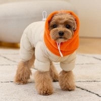 퍼피아 스누드 올인원 패딩 2종