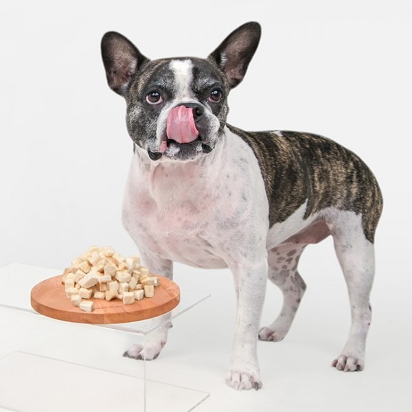 페오펫몰,올치 한입에 딱! 포켓 쏙 미니트릿 북어 30g