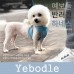 예보들 큰강아지 하네스 말티즈 닥스훈트 웰시코기하네스