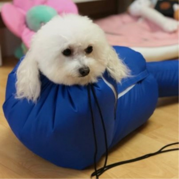 페오펫몰,[댕캉스특가] 예보들 펫 드라이룸 강아지룸 반려동물 건조기 고양이펫드라이룸 대형견드라이룸