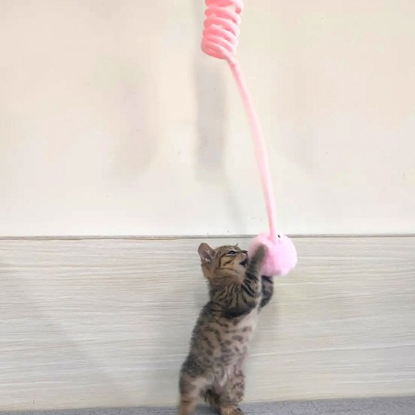 페오펫몰,예보들 고양이 장난감 폼폼볼 볼놀이 장난감