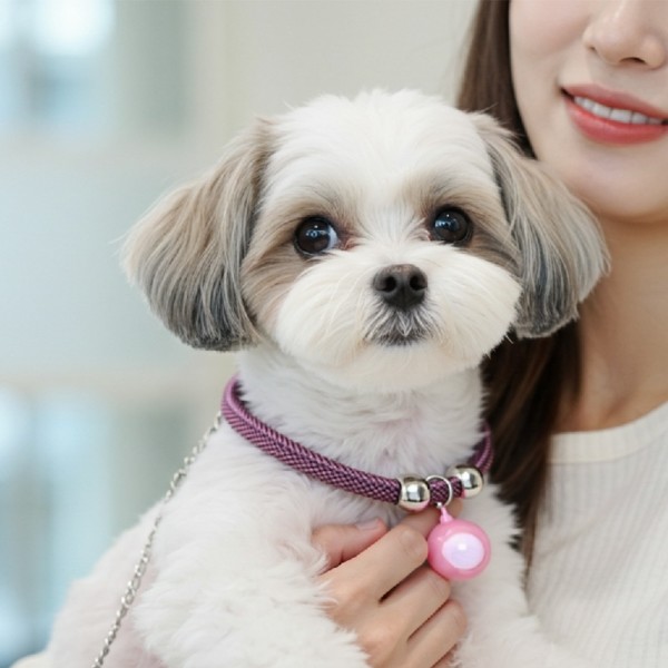 페오펫몰,예보들 강아지 방울목걸이 강아지목걸이 인식표