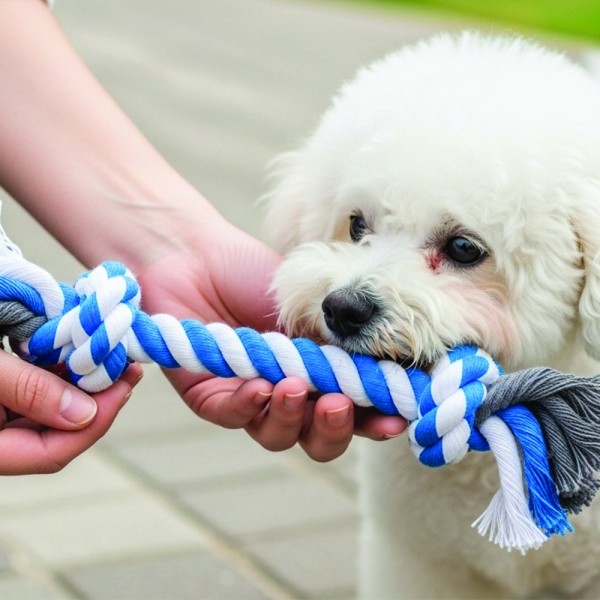 페오펫몰,예보들 강아지 치석제거 장난감 실타래 로프 토이 노즈워크장난감 터그놀이 장난감