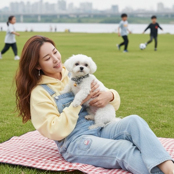 페오펫몰,[감사특가] 예보들 시바견목걸이 강아지방울목걸이 강아지산책목줄 강아지악세사리 강아지인식표 반려동물산책 고양이방울목걸이