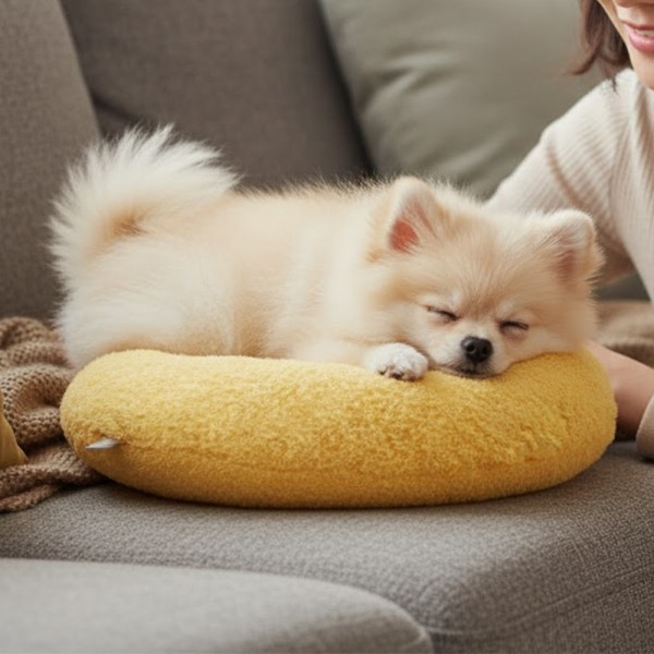 페오펫몰,예보들 강아지 고양이 머리쿠션 반려동물 목베개 애견베개 목뼈보호