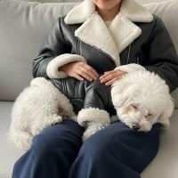 예보등 강아지 무스탕 강아지 올인원 방한복