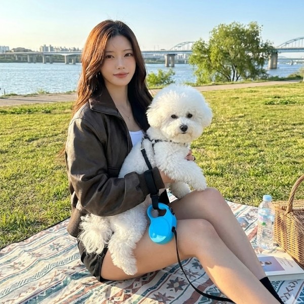 페오펫몰,예보들 강아지 핸즈프리 놓침방지 손목 스트랩