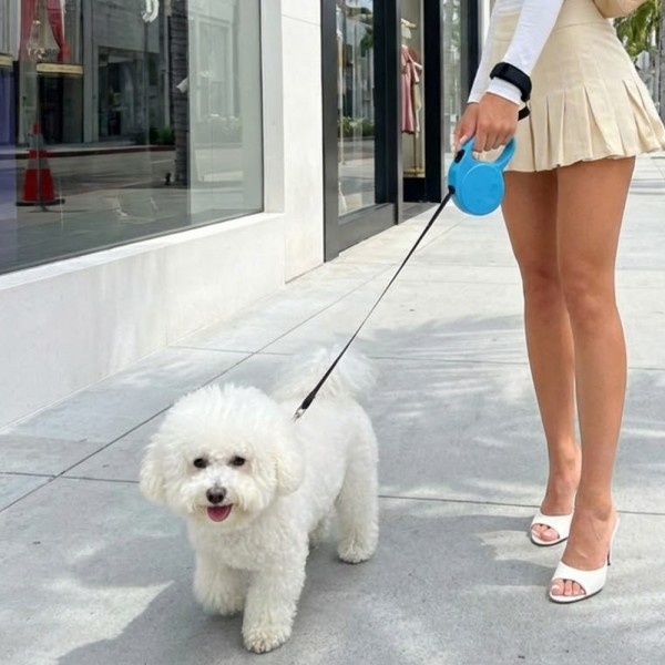 페오펫몰,예보들 강아지 핸즈프리 놓침방지 손목 스트랩