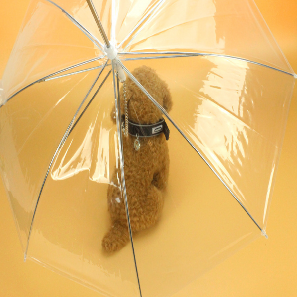 페오펫몰,예보들 강아지 우산 강아지산책 거꾸로우산 코스프레