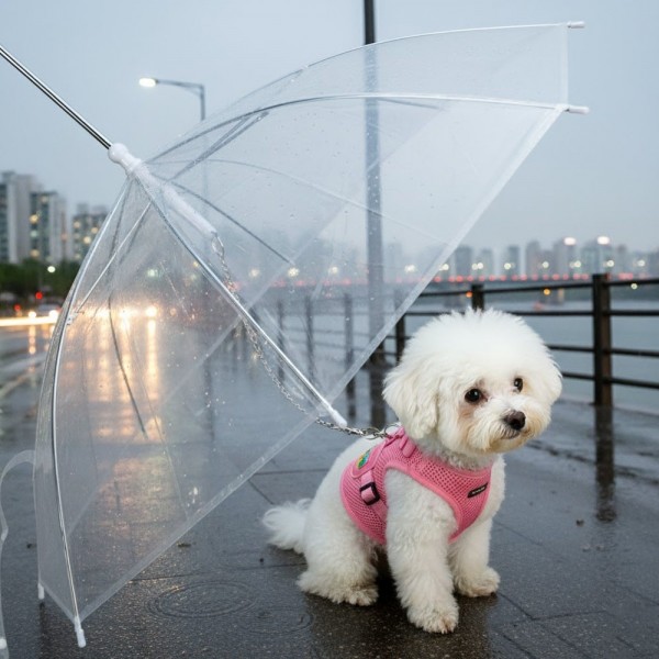 페오펫몰,예보들 강아지 우산 강아지산책 거꾸로우산 코스프레