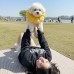 썸네일(스크롤)