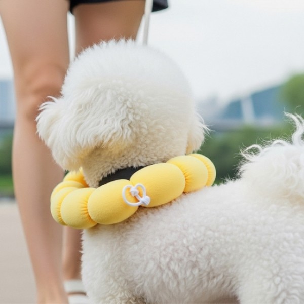 페오펫몰,예보들 고양이넥카라 대형견넥카라 강아지넥쿠션 강아지목보호대