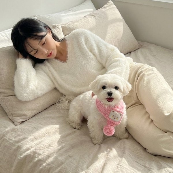 페오펫몰,[감사특가] 예보들 강아지 고양이 니트 목도리