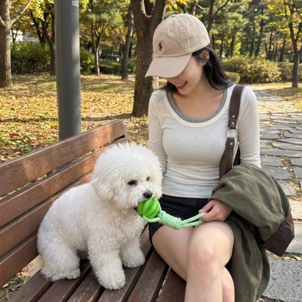 페오펫몰,예보들 강아지 치석제거 터그놀이 장난감