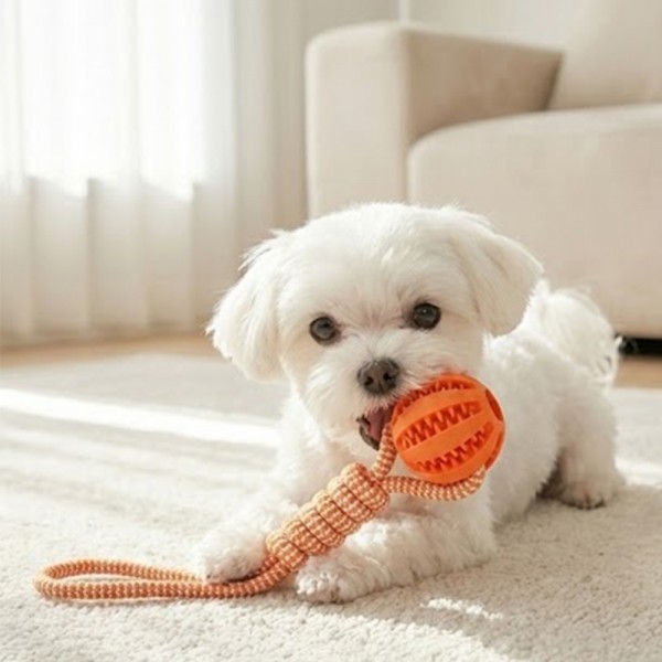 페오펫몰,예보들 강아지 치석제거 터그놀이 장난감